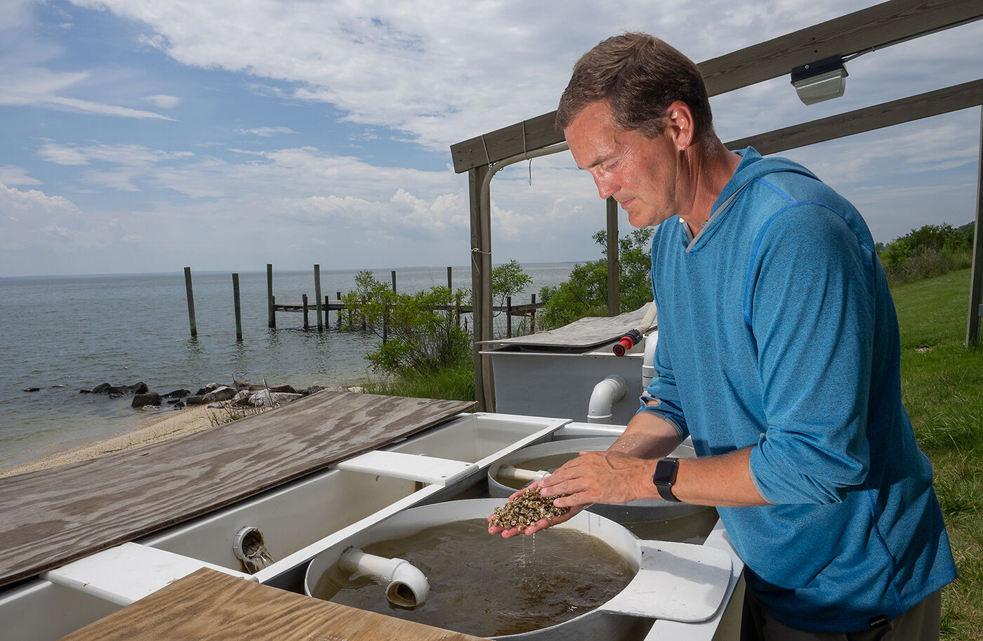 Oyster farmer JD Blackwell